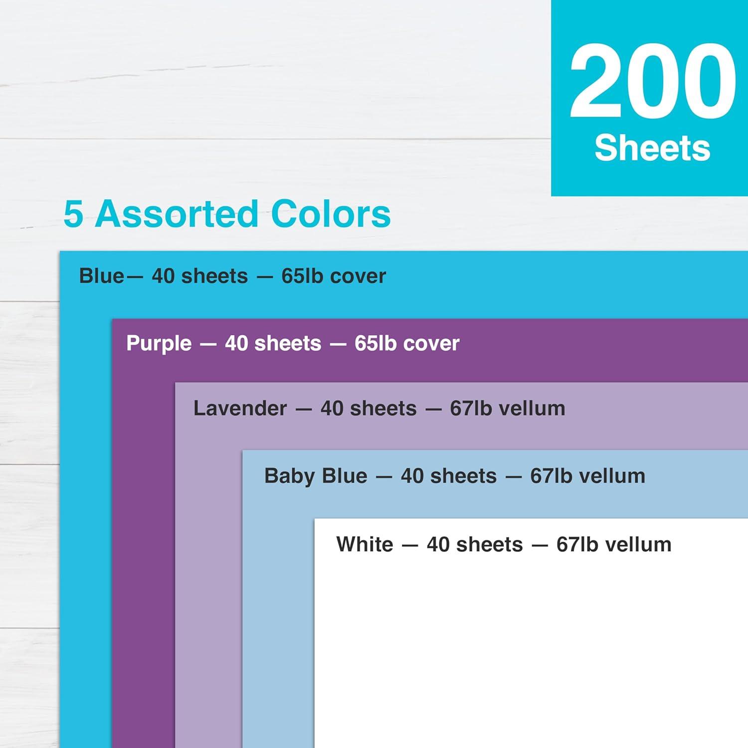 imagePrintWorks Winter Wonderland Cardstock 85quot x 11quot  200 Sheets  5 Assorted Winter Card Stock Colors  Ideal for School ampamp Craft Projects  67 lb147 gsm ampamp 65 lb176 gsm  Made in the USA 00599