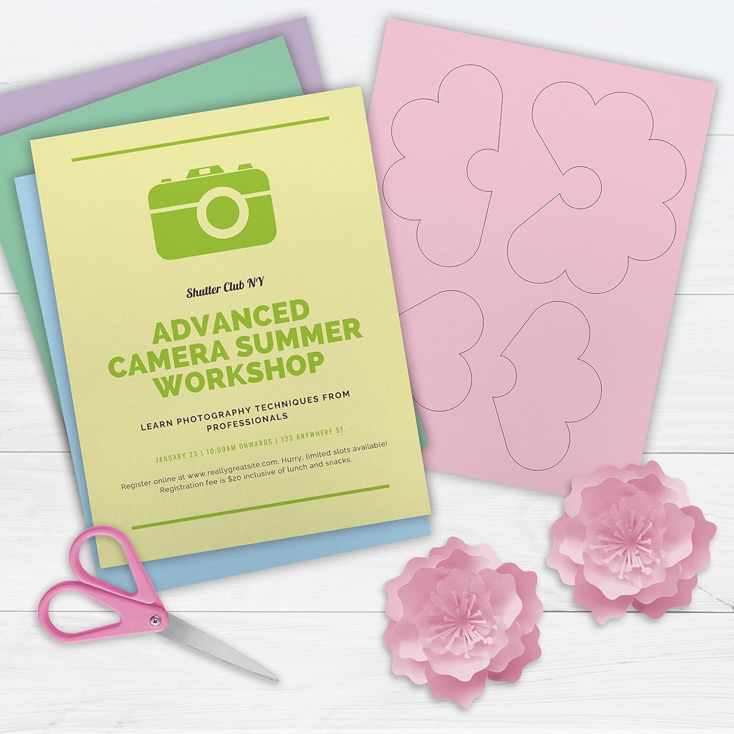imagePrintWorks Bright Cardstock 85quot x 11quot  50 Sheets  5 Assorted Primary Colors  Ideal for School ampamp Craft Projects  65 lb176 gsm  Made in the USA  FSC Certified 00682Baby Blue  Pink  Buttercream  Lilac  Mint