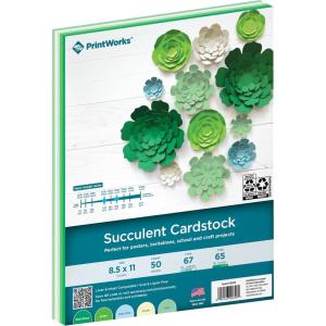 PrintWorks Succulent Cardstock 8.5″ x 11″ – 50 Sheets – 5 Botanical Colors for Plants, Flowers, and Cacti – Ideal for School & Craft Projects – 67 lb/147 gsm & 65 lb/176 gsm – Made in the USA (00656)