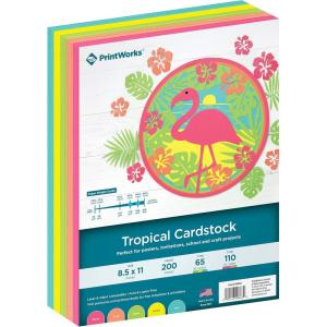 PrintWorks Tropical Cardstock 8.5″ x 11″ – 200 Sheets – 5 Assorted Fluorescent Colors – Ideal for School & Craft Projects – 65 lb/176 gsm & 110 lb/199 gsm – Made in the USA (00663)
